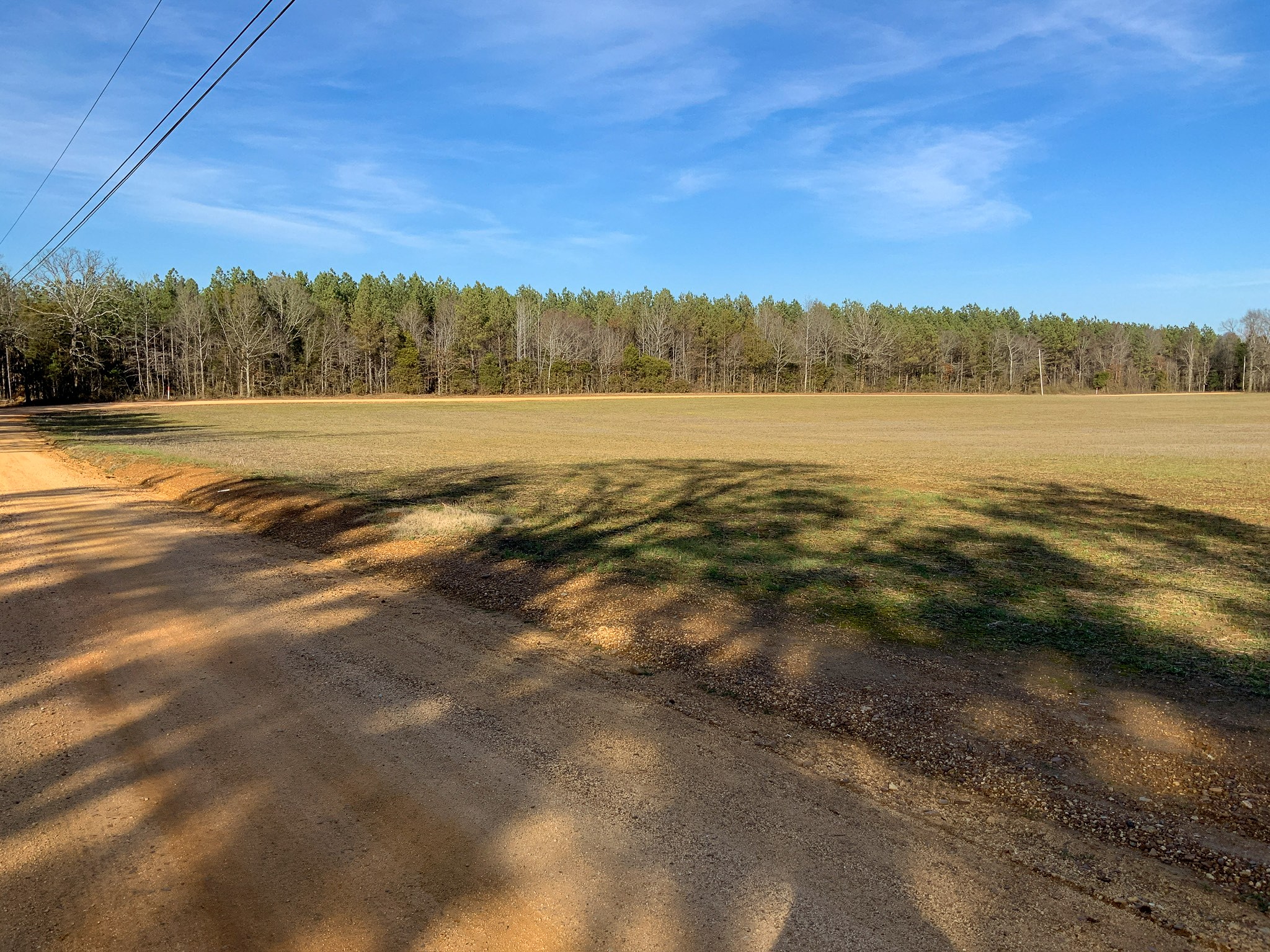 0 Doe Road Saltillo, TN 38370 - Photo 24 of 28