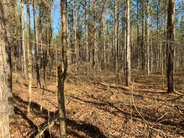 $824,999 | 0 Doe Road, Saltillo, TN 38370