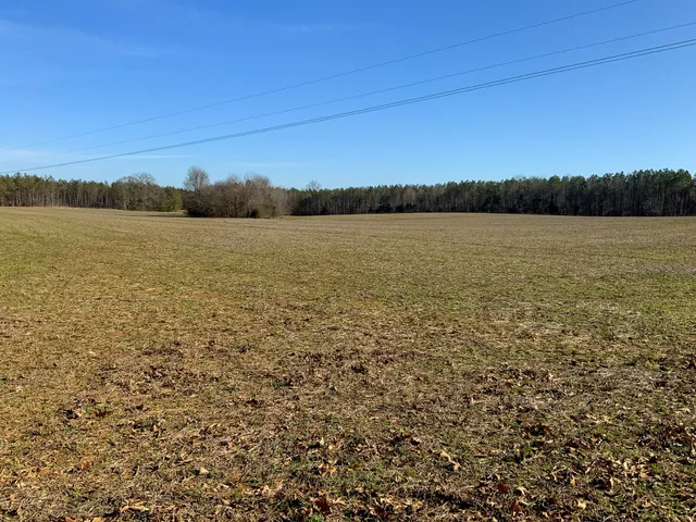 $824,999 | 0 Doe Road, Saltillo, TN 38370