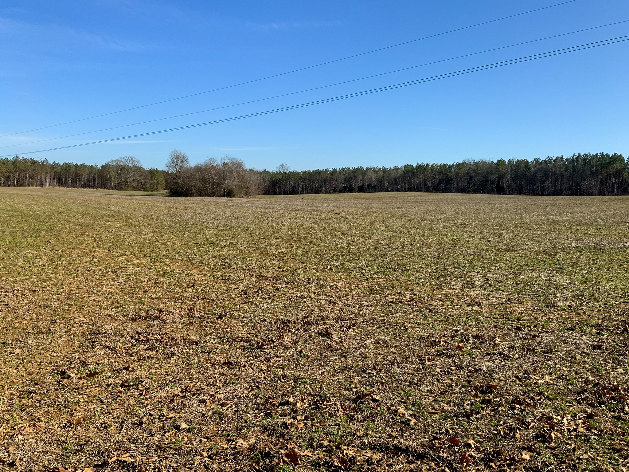 0 Doe Road Saltillo, TN 38370 - Photo 3 of 28