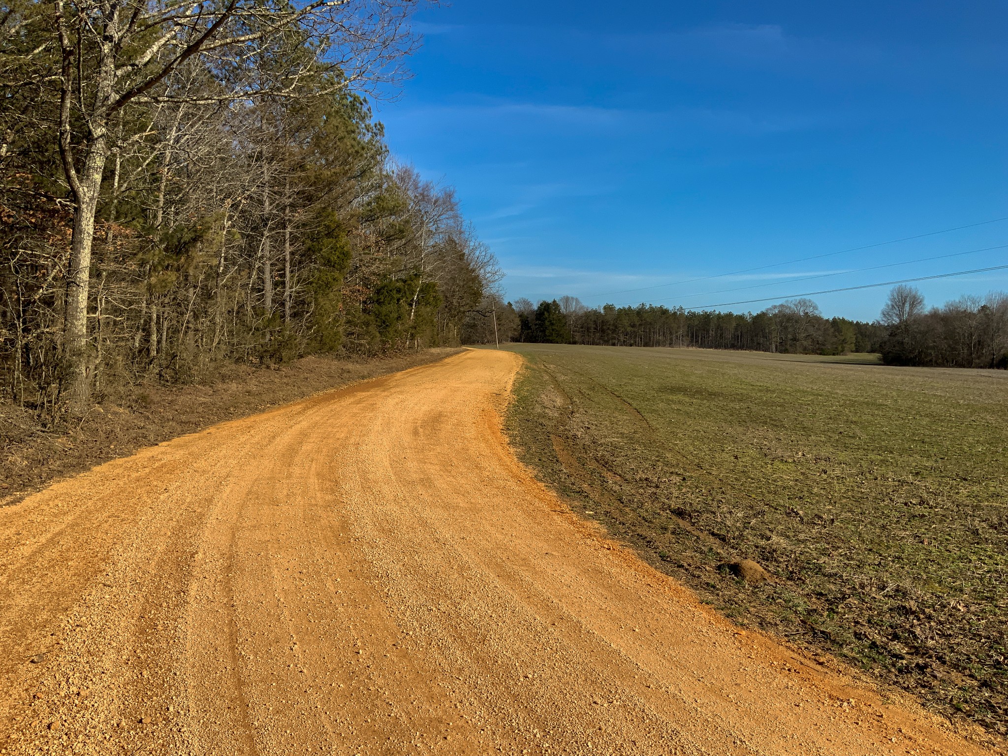 0 Doe Road Saltillo, TN 38370 - Photo 4 of 28