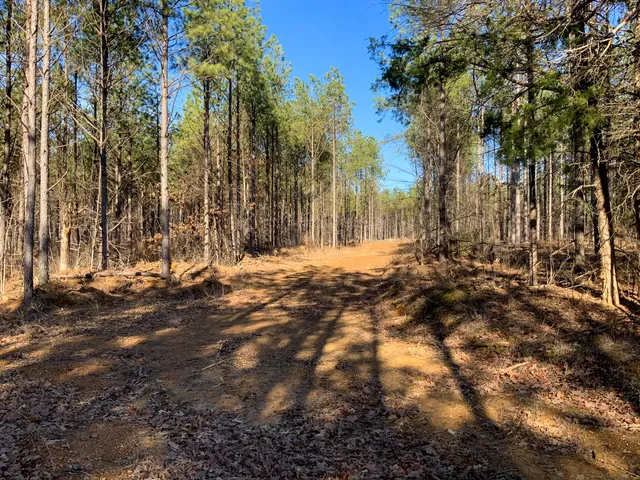 $824,999 | 0 Doe Road, Saltillo, TN 38370