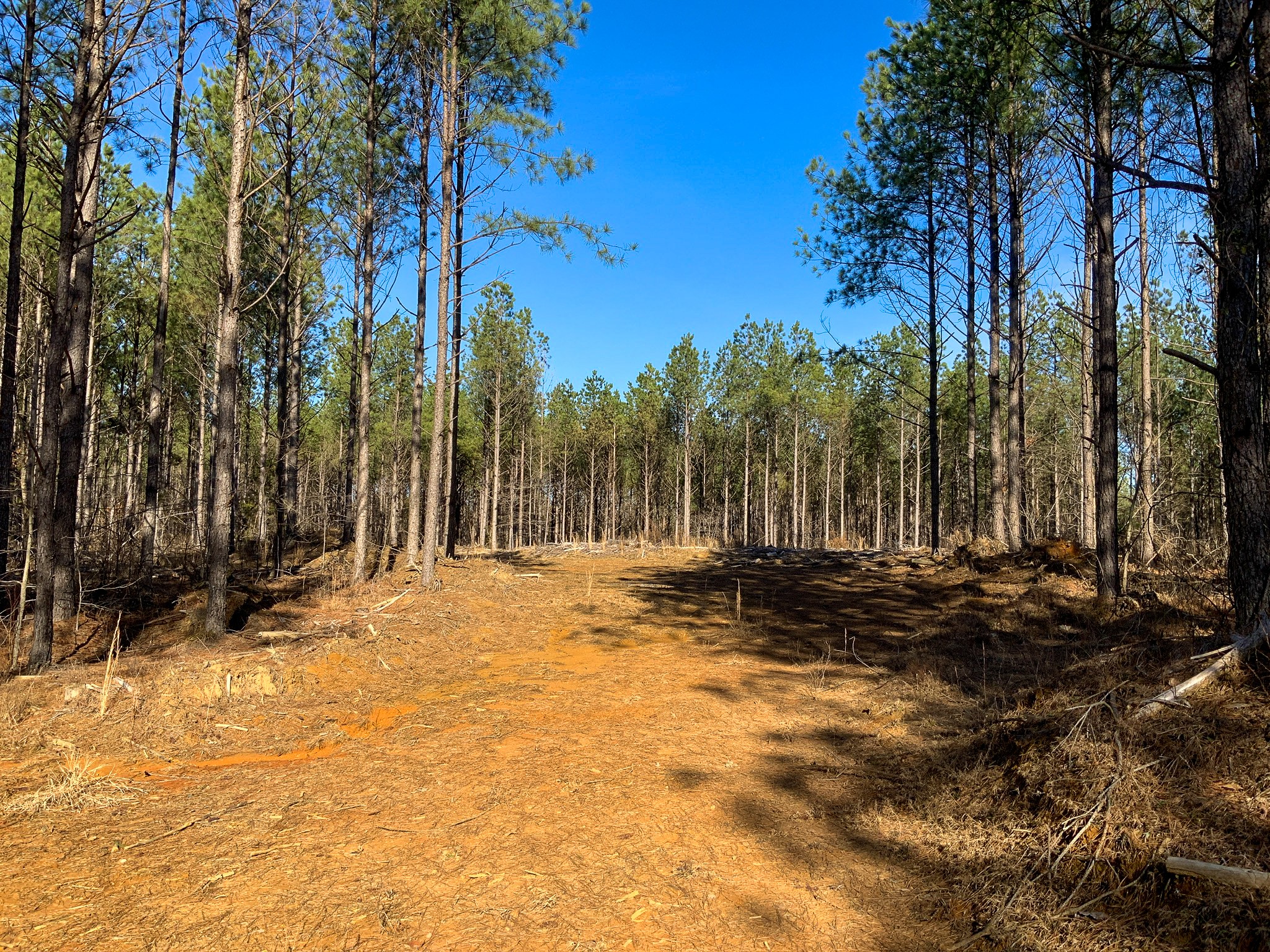 0 Doe Road Saltillo, TN 38370 - Photo 7 of 28