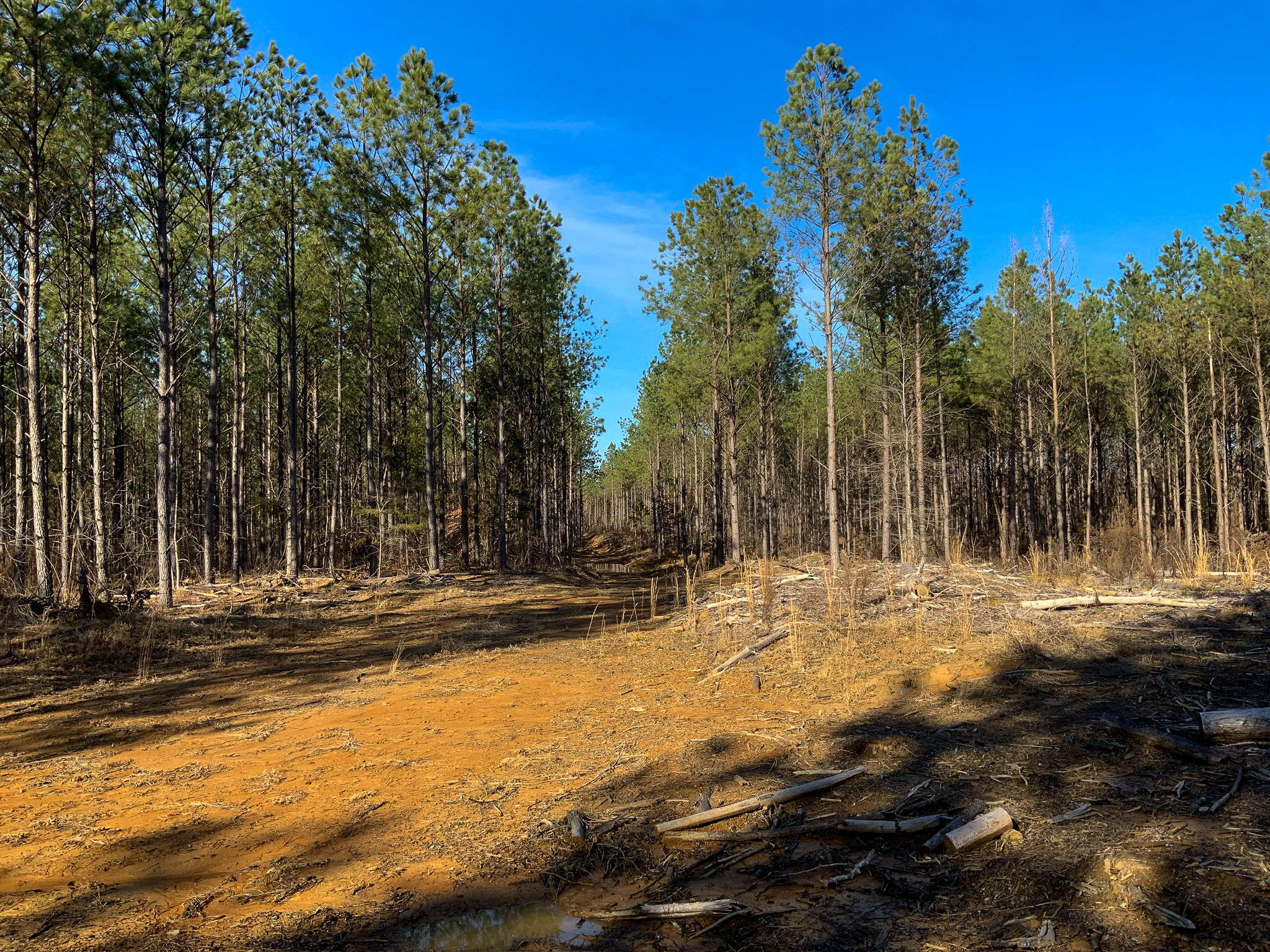 0 Doe Road Saltillo, TN 38370 - Photo 8 of 28