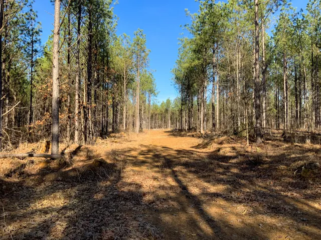 $824,999 | 0 Doe Road, Saltillo, TN 38370