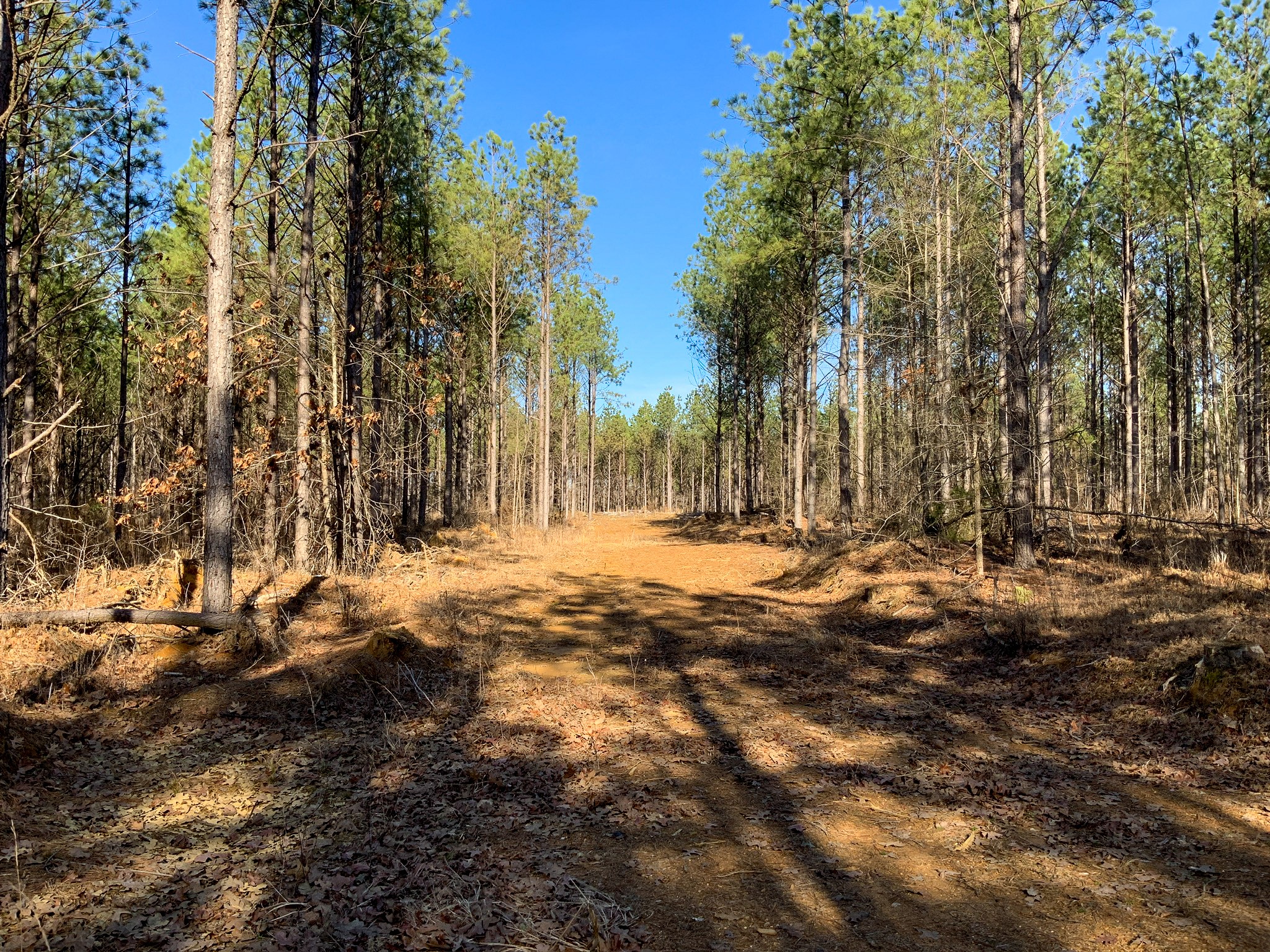 0 Doe Road Saltillo, TN 38370 - Photo 9 of 28