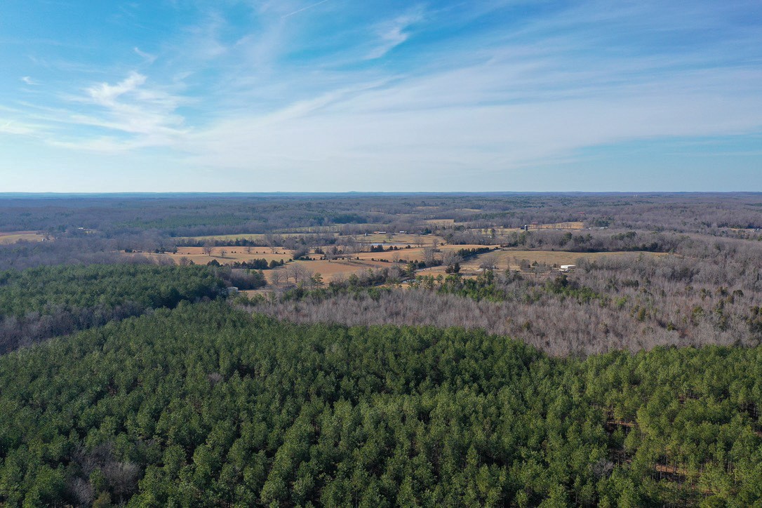 0 Doe Road Saltillo, TN 38370 - Photo 10 of 28