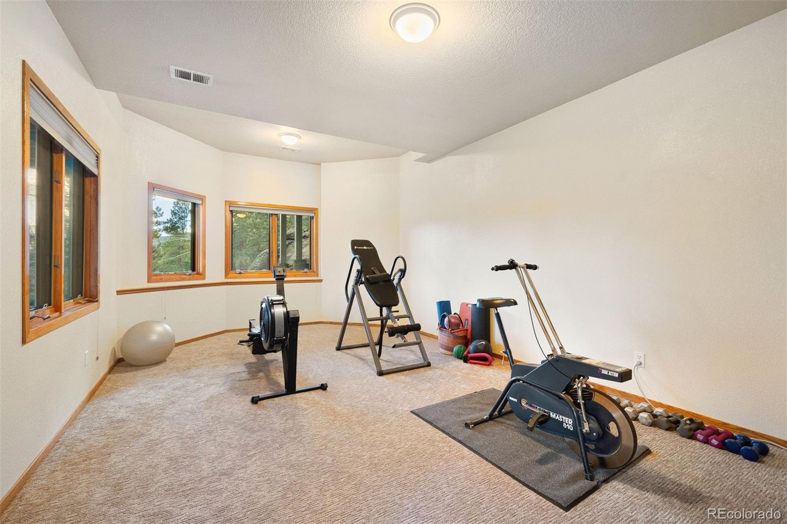 4275 Stonecliff Drive Evergreen, CO 80439 - Photo 36 of 48 a view of a room with gym equipment
