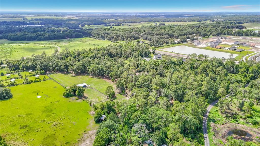8338 Handcart Road Dade City, FL 33525 - Photo 91 of 96