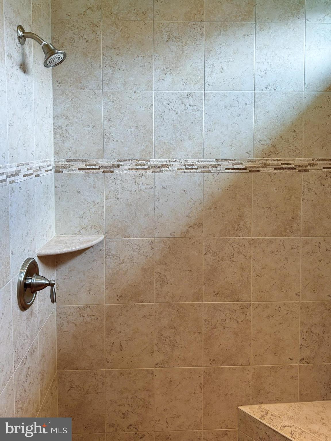 166 Silver Maple Road Middletown, DE 19709 - Photo 26 of 58 Tiled Shower Spray Head