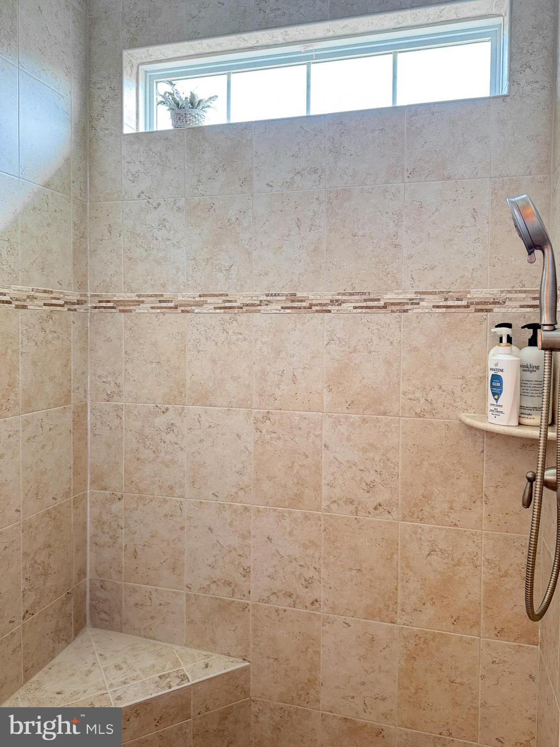 166 Silver Maple Road Middletown, DE 19709 - Photo 27 of 58 Tiled Shower Handheld