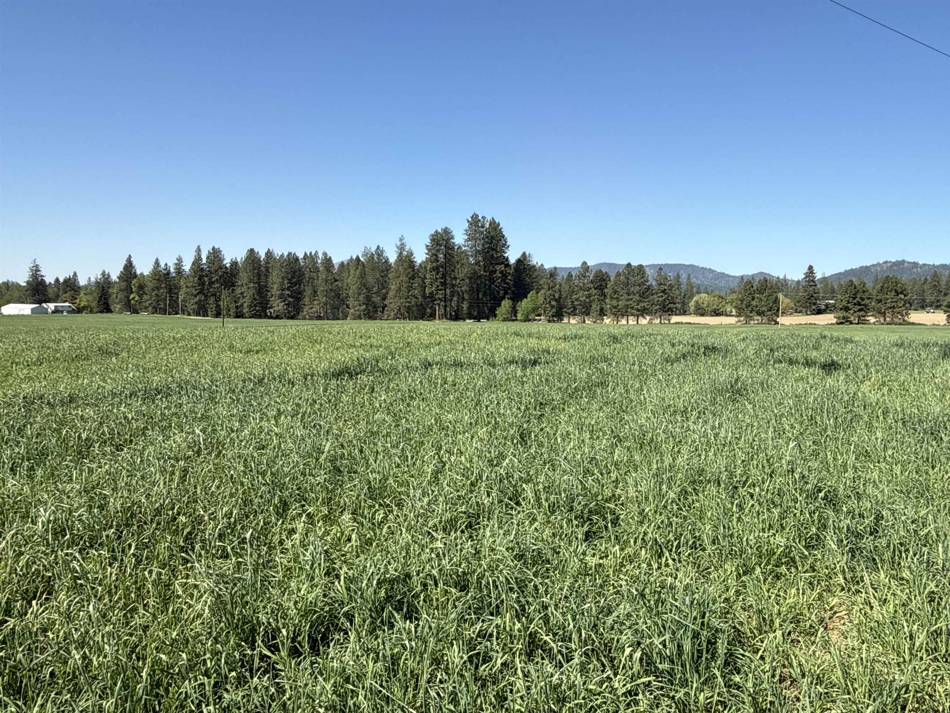 4881 A Carr Road Clayton, WA 99110 - Photo 28 of 44