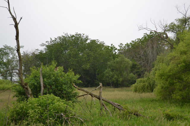 500 South Randall Road South Elgin, IL 60177 - Photo 5 of 5