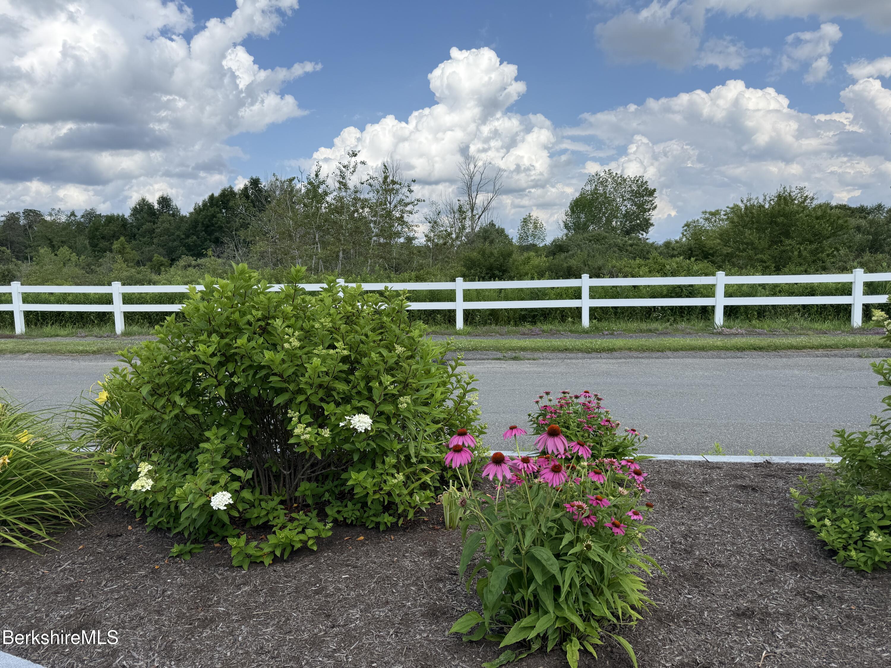 8 Northbrook Lane Pittsfield, MA 01201 - Photo 79 of 90 Entrance