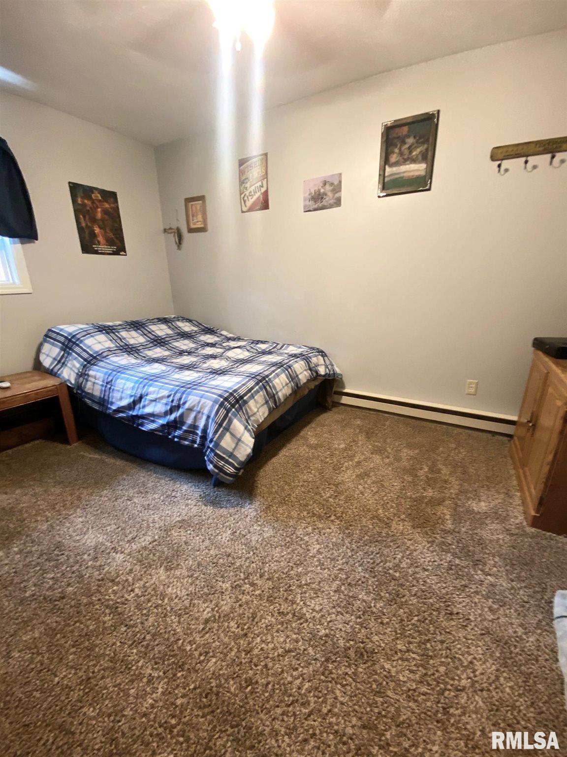 241 Wiley Road Murphysboro, IL 62966 - Photo 8 of 15 Gallery Image 8