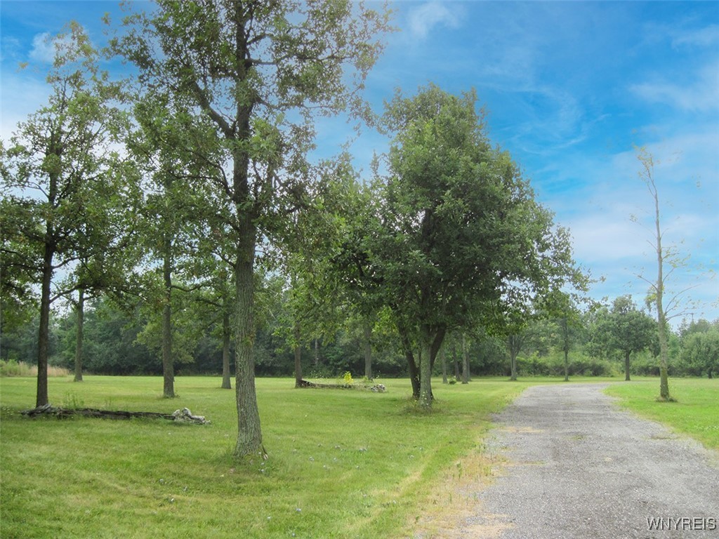 5129 Kraus Road Clarence, NY 14031 - Photo 2 of 9