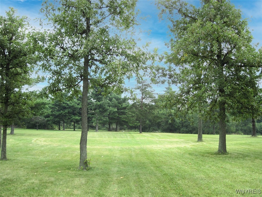 5129 Kraus Road Clarence, NY 14031 - Photo 3 of 9