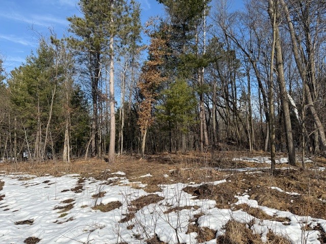 0 Bashaw Trail Shell Lake, WI 54871 - Photo 2 of 9