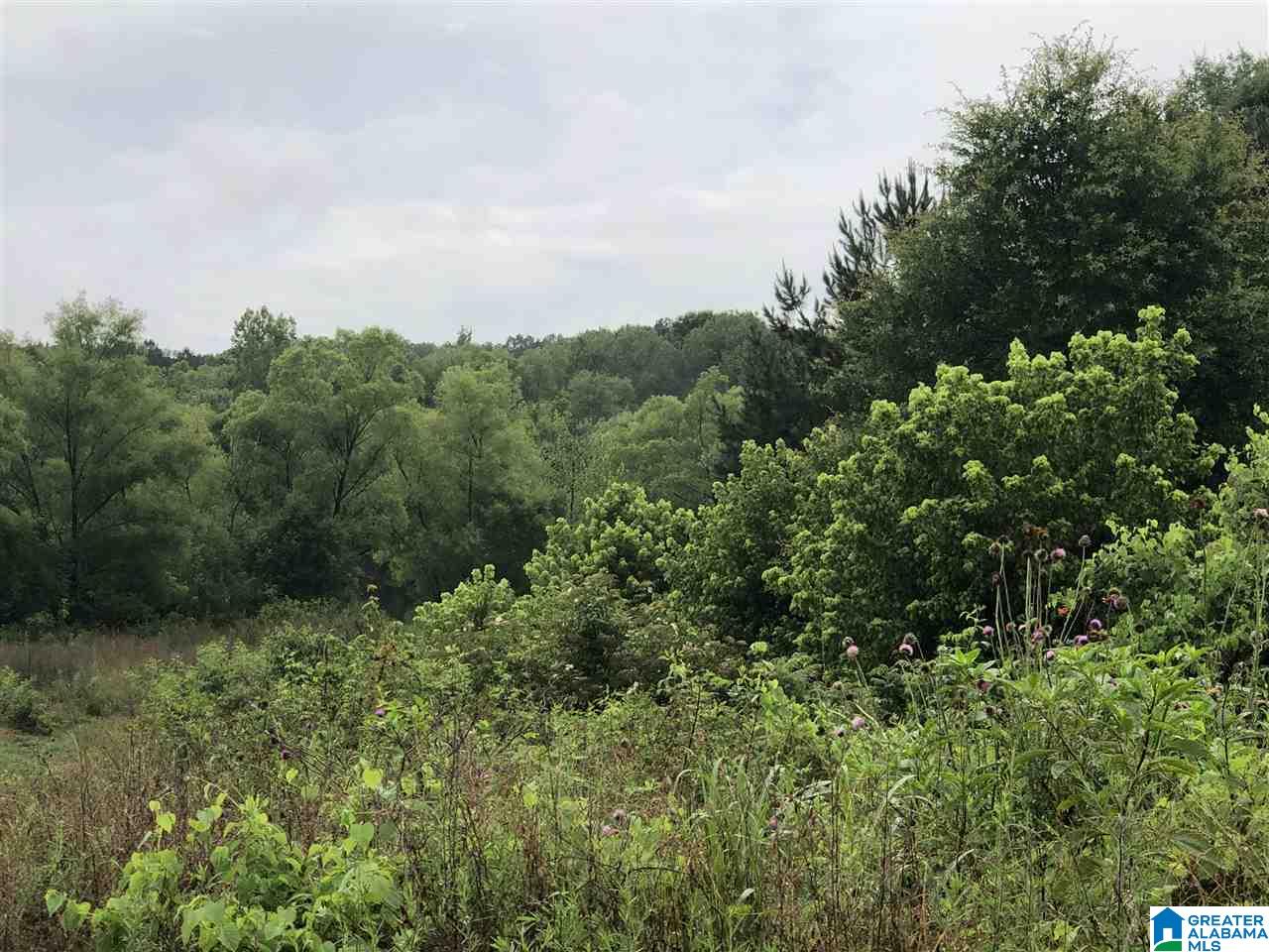 0 Old Downey Mill Road Anniston, AL 36207 - Photo 2 of 28