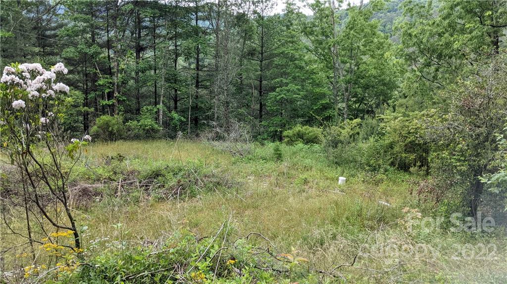 5130 East Fork Road Brevard, NC 28712 - Photo 23 of 35 Gallery Image 23