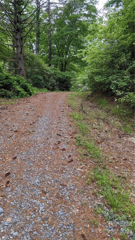 5130 East Fork Road Brevard, NC 28712 - Photo 24 of 35 Gallery Image 24