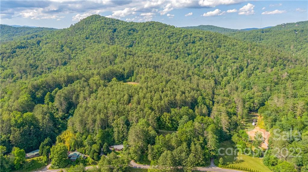 5130 East Fork Road Brevard, NC 28712 - Photo 3 of 35 Gallery Image 3