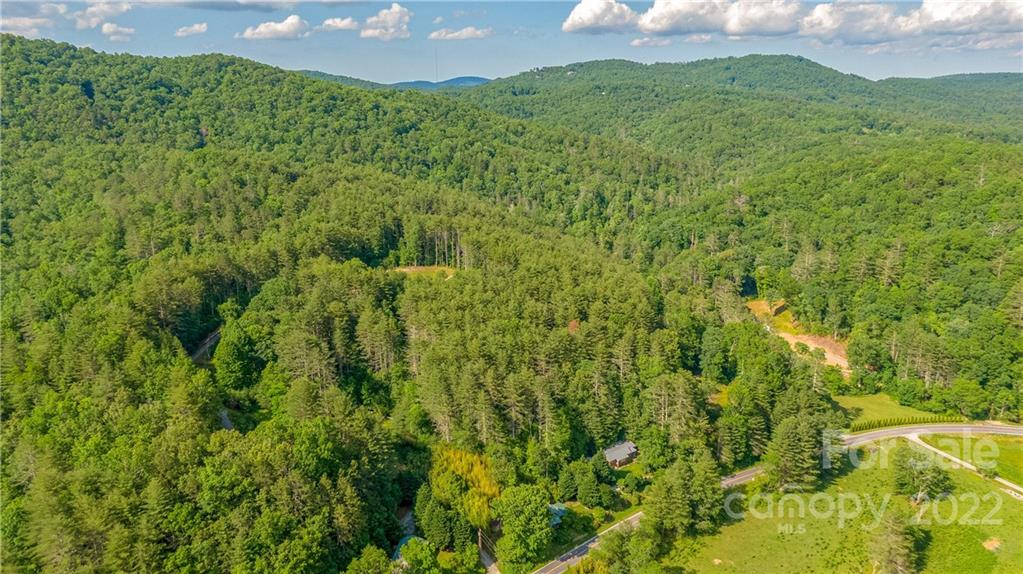 5130 East Fork Road Brevard, NC 28712 - Photo 4 of 35 Gallery Image 4