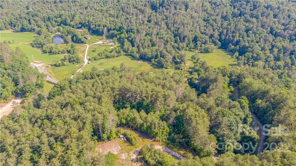 5130 East Fork Road Brevard, NC 28712 - Photo 6 of 35 Gallery Image 6