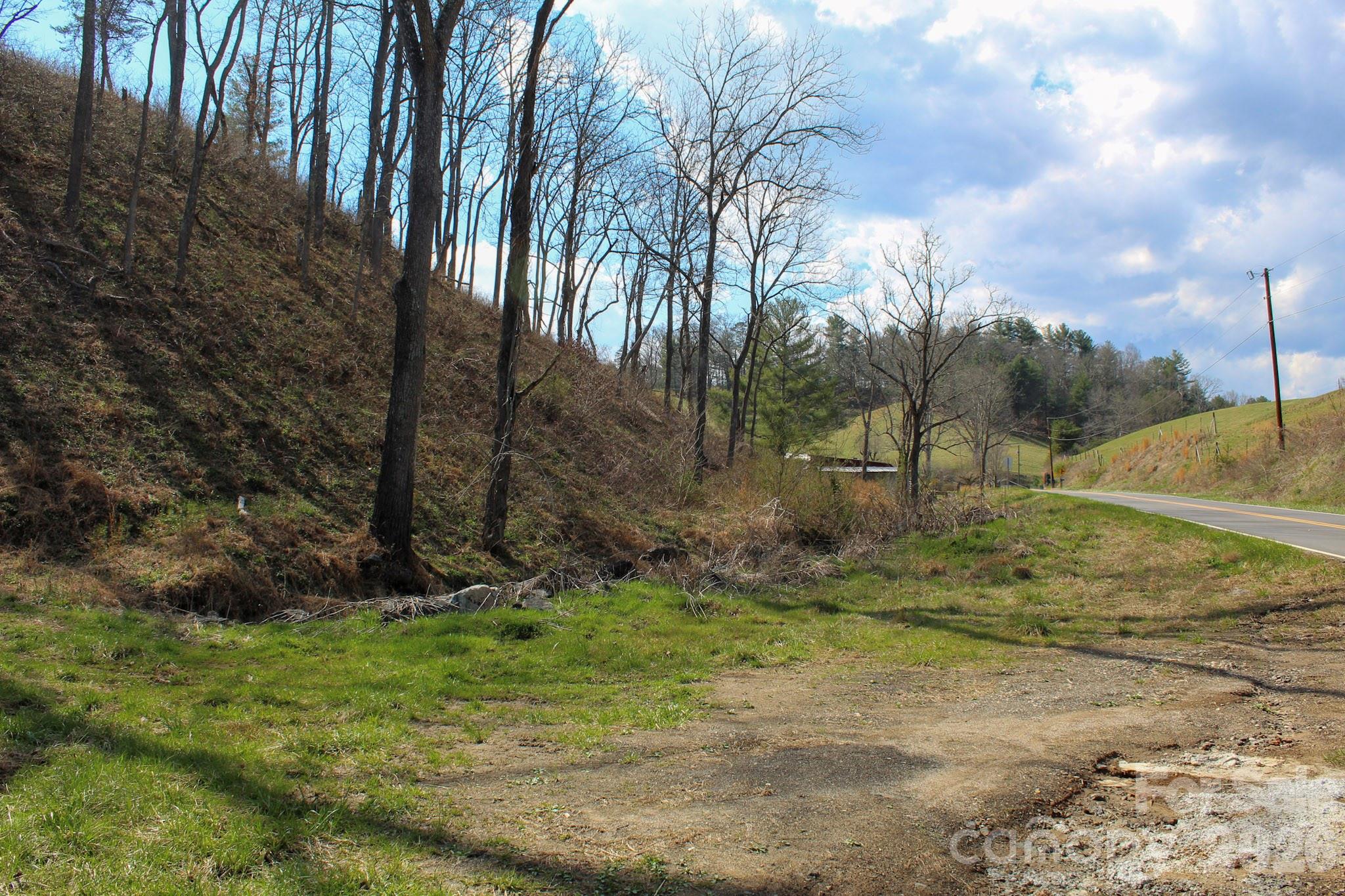 99999 Fletcher Martin Road Alexander, NC 28701 - Photo 11 of 47