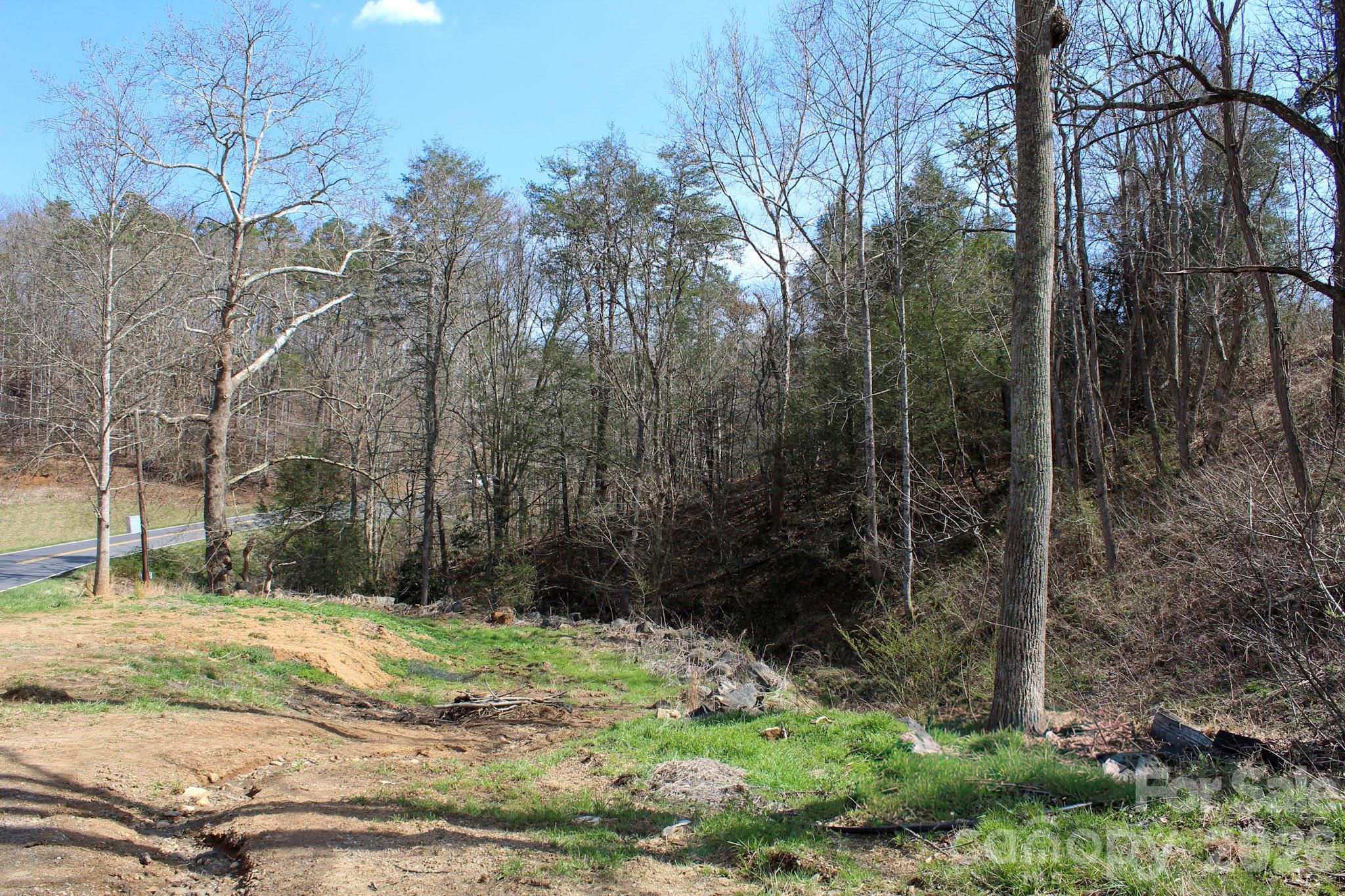 99999 Fletcher Martin Road Alexander, NC 28701 - Photo 12 of 47