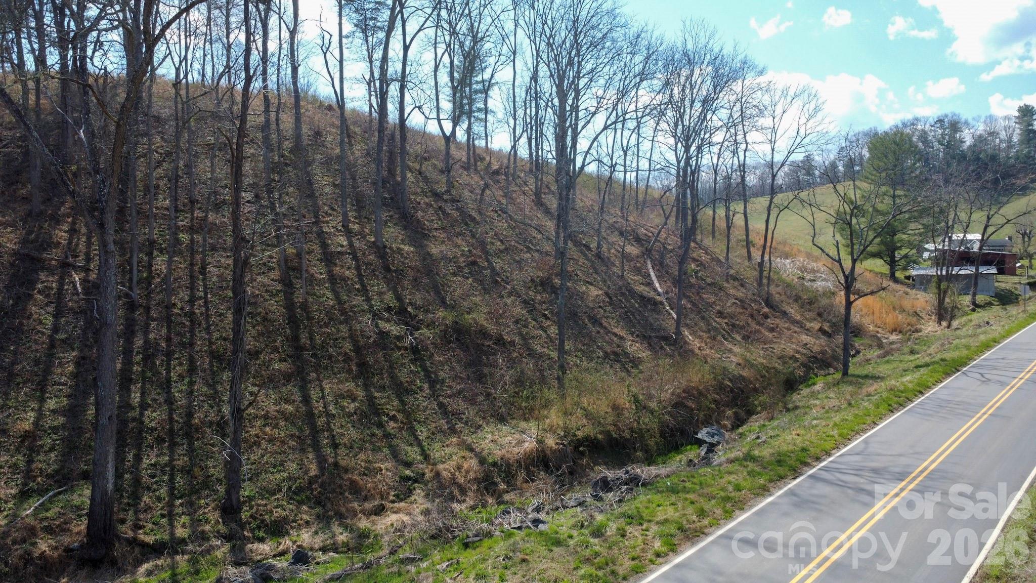 99999 Fletcher Martin Road Alexander, NC 28701 - Photo 13 of 47