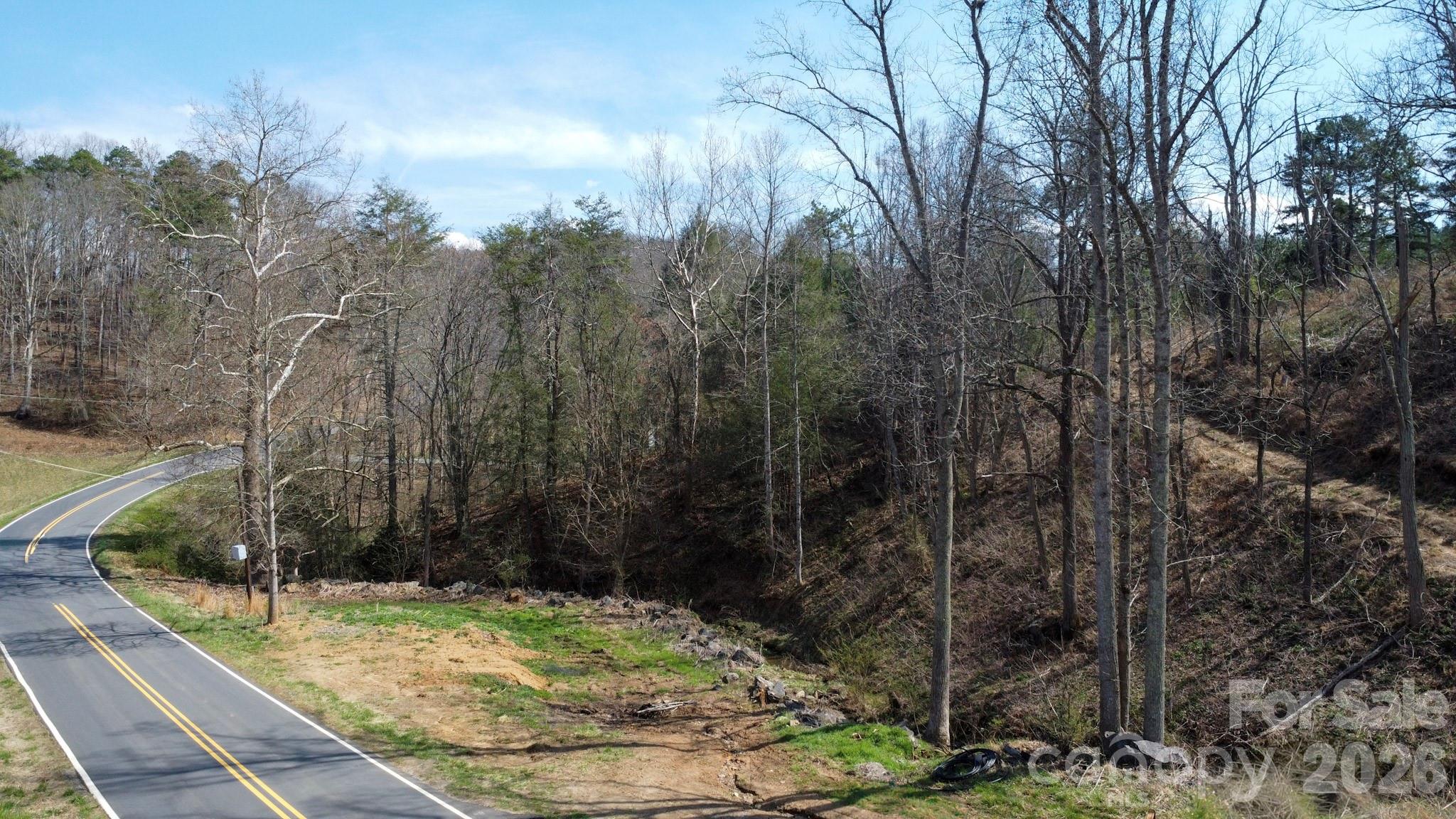 99999 Fletcher Martin Road Alexander, NC 28701 - Photo 14 of 47