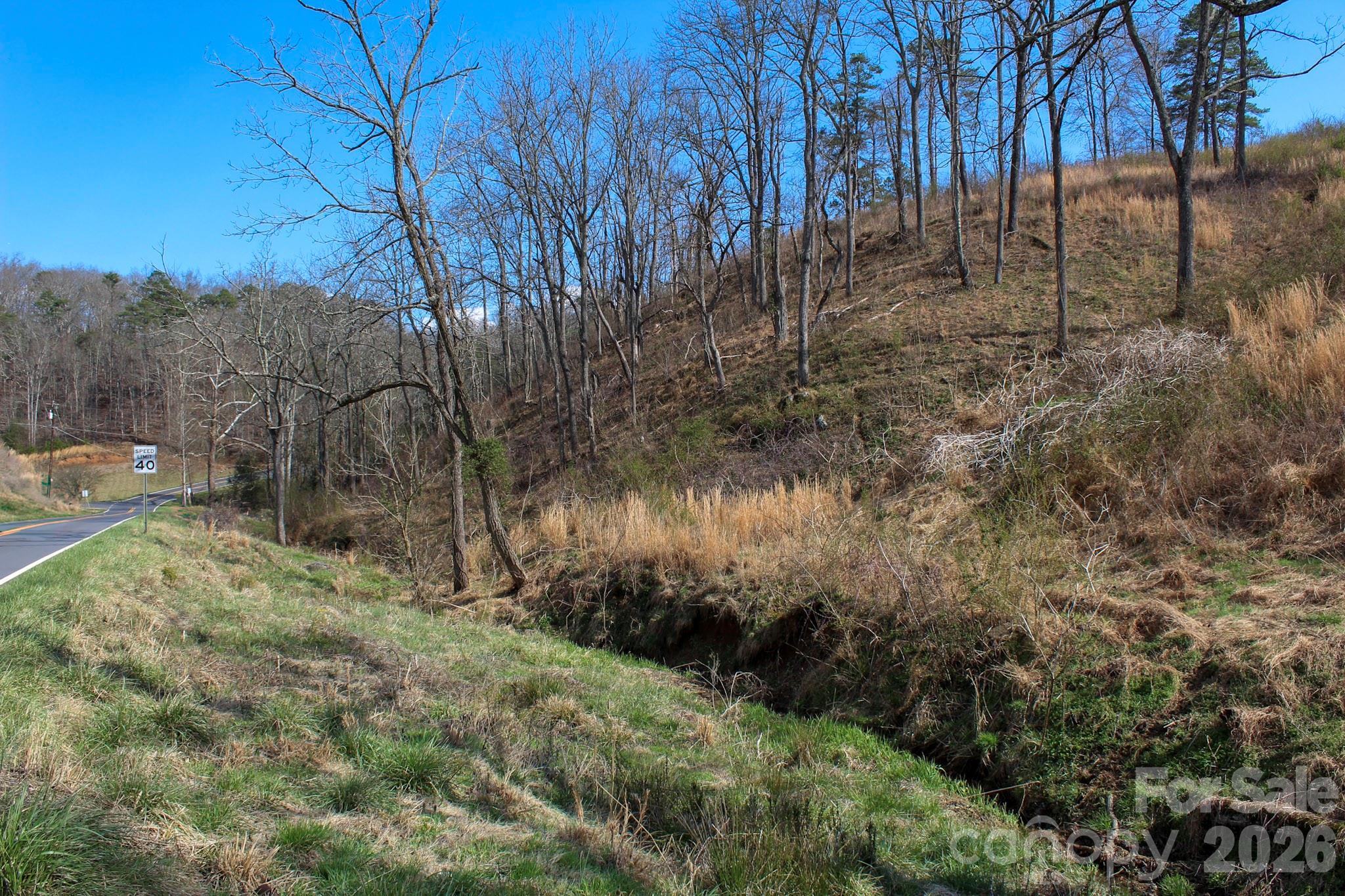 99999 Fletcher Martin Road Alexander, NC 28701 - Photo 15 of 47