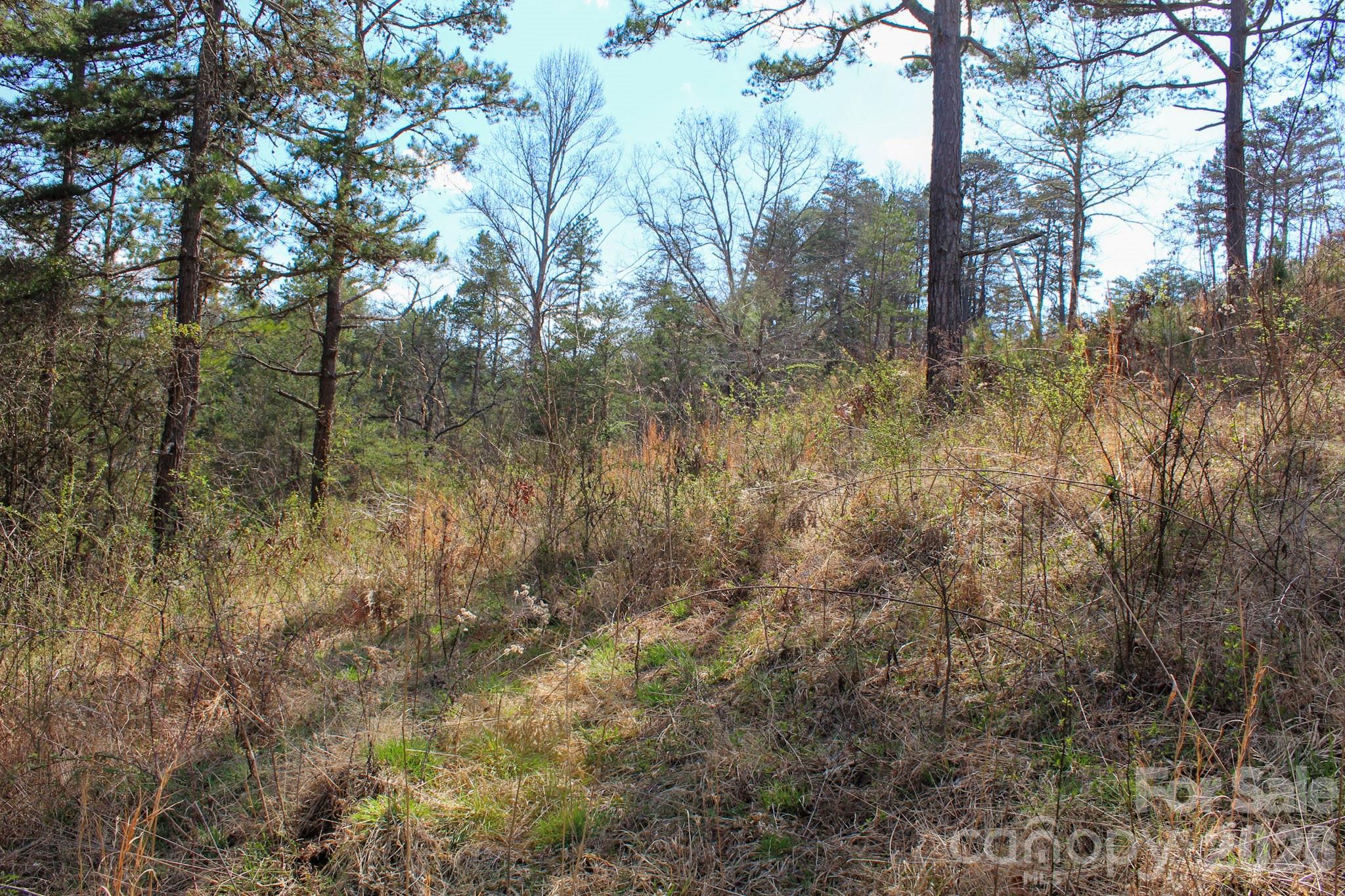 99999 Fletcher Martin Road Alexander, NC 28701 - Photo 16 of 47