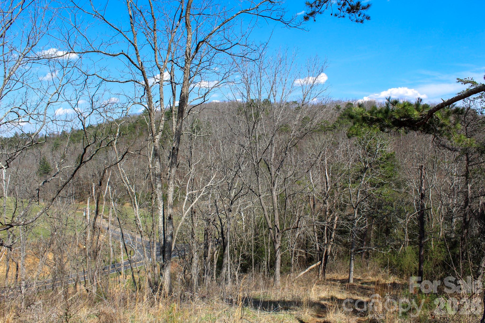 99999 Fletcher Martin Road Alexander, NC 28701 - Photo 17 of 47