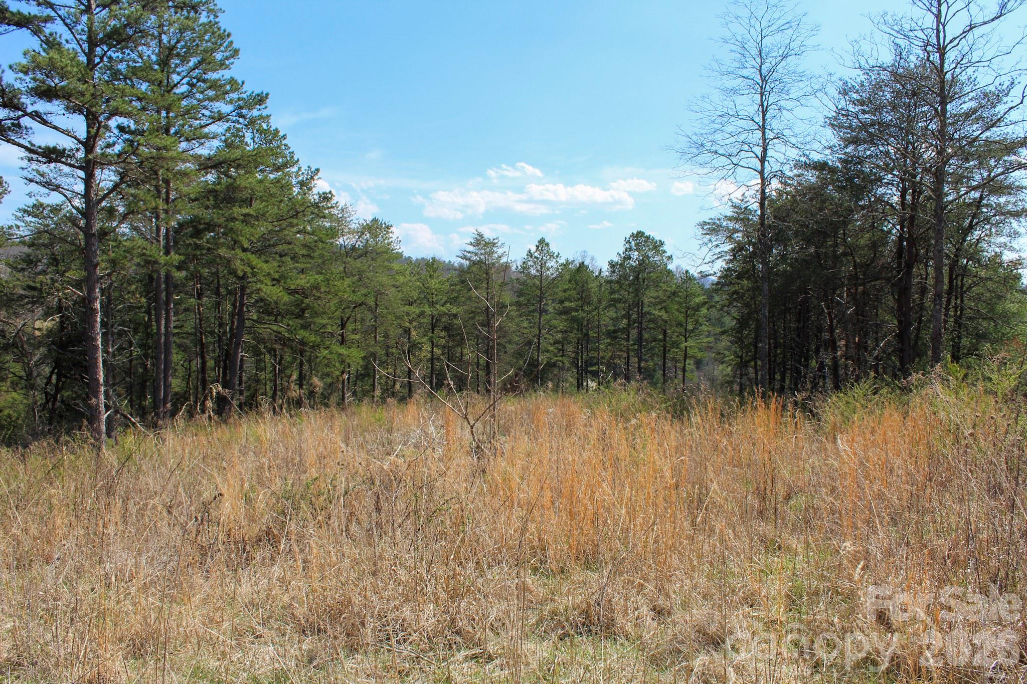 99999 Fletcher Martin Road Alexander, NC 28701 - Photo 18 of 47