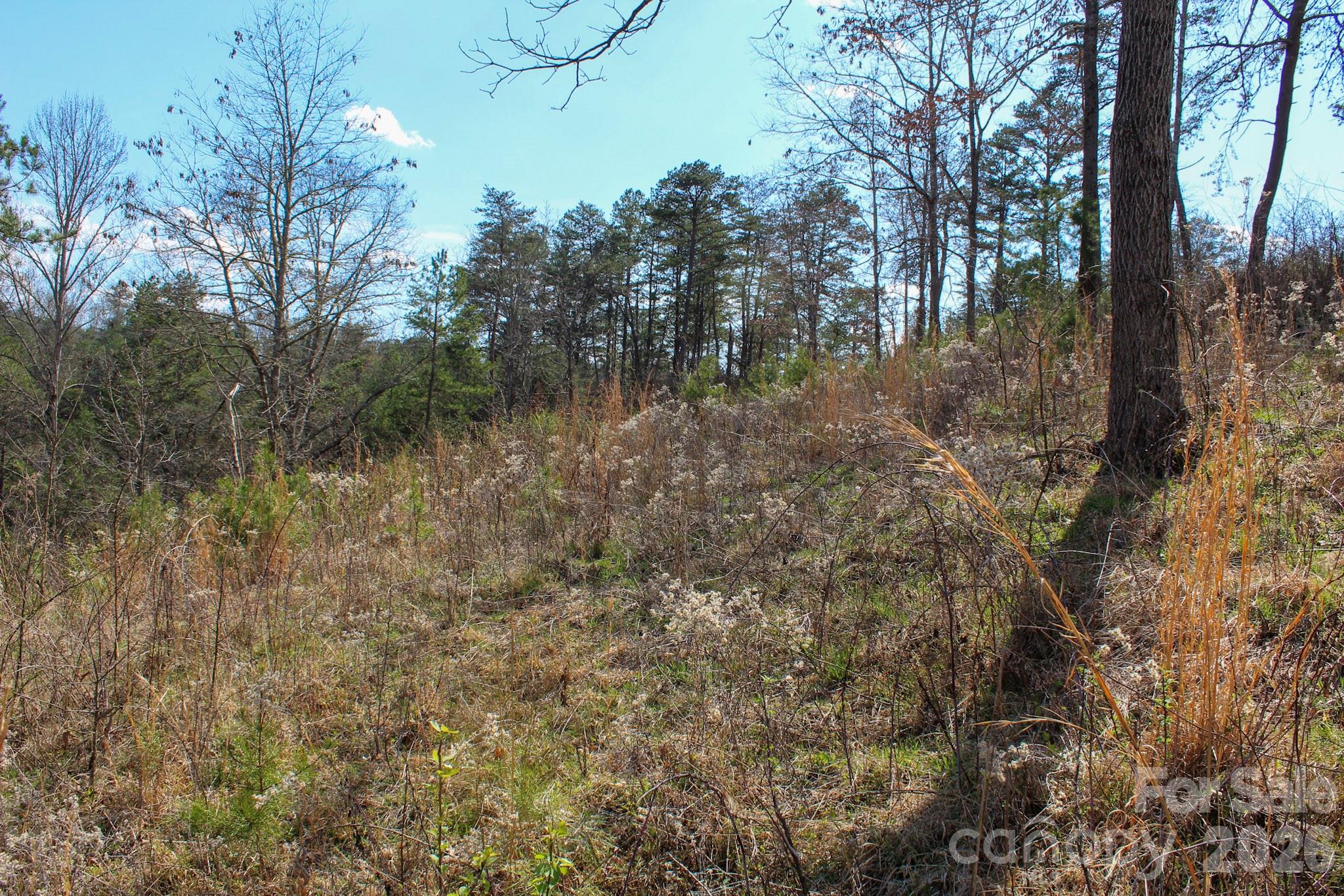 99999 Fletcher Martin Road Alexander, NC 28701 - Photo 19 of 47