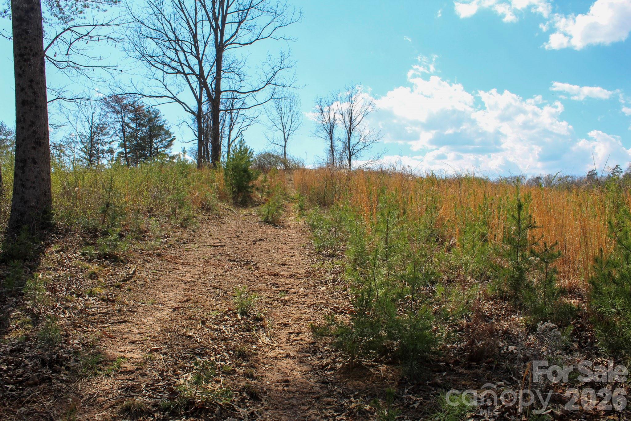 99999 Fletcher Martin Road Alexander, NC 28701 - Photo 20 of 47