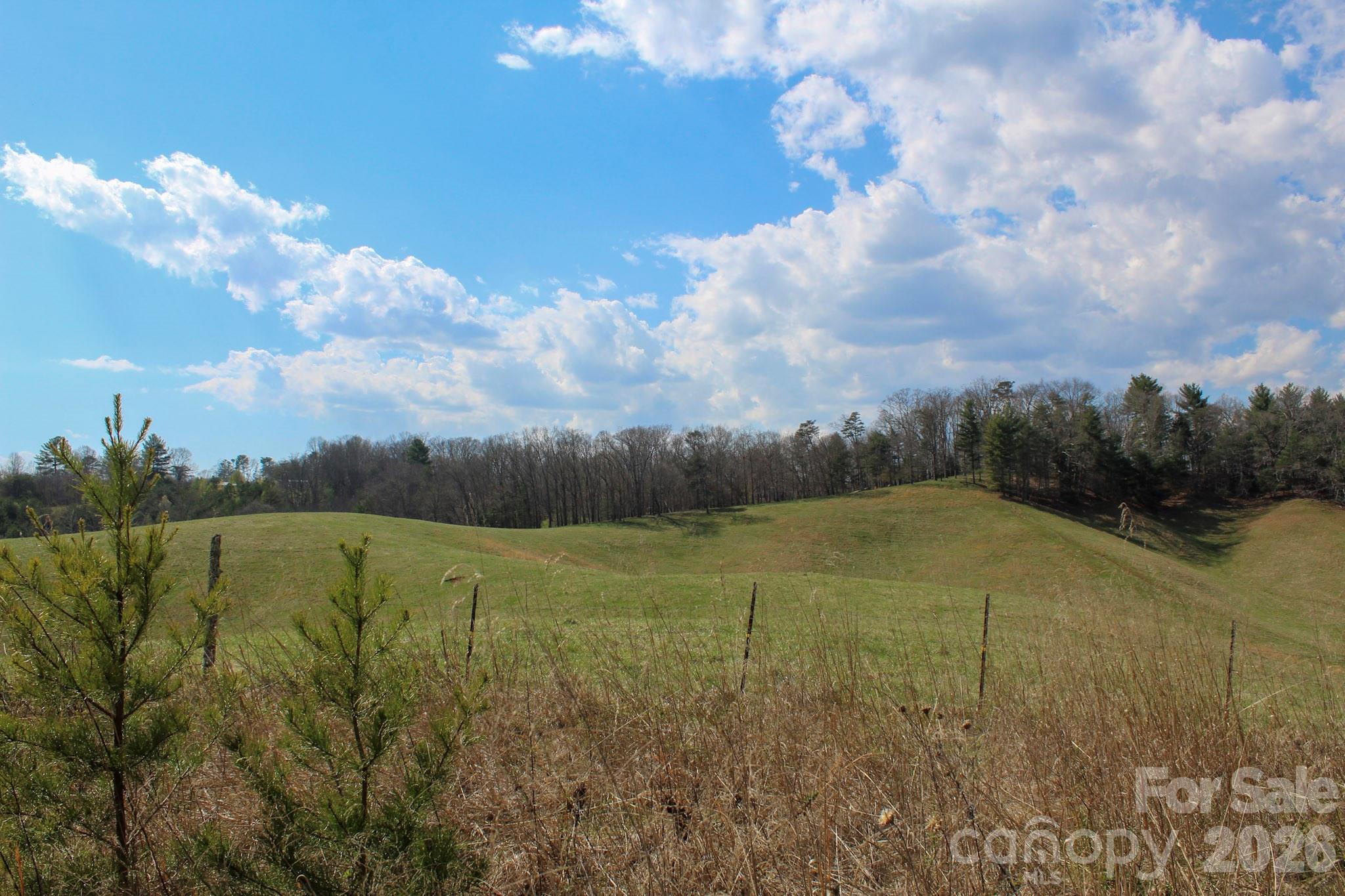 99999 Fletcher Martin Road Alexander, NC 28701 - Photo 2 of 47