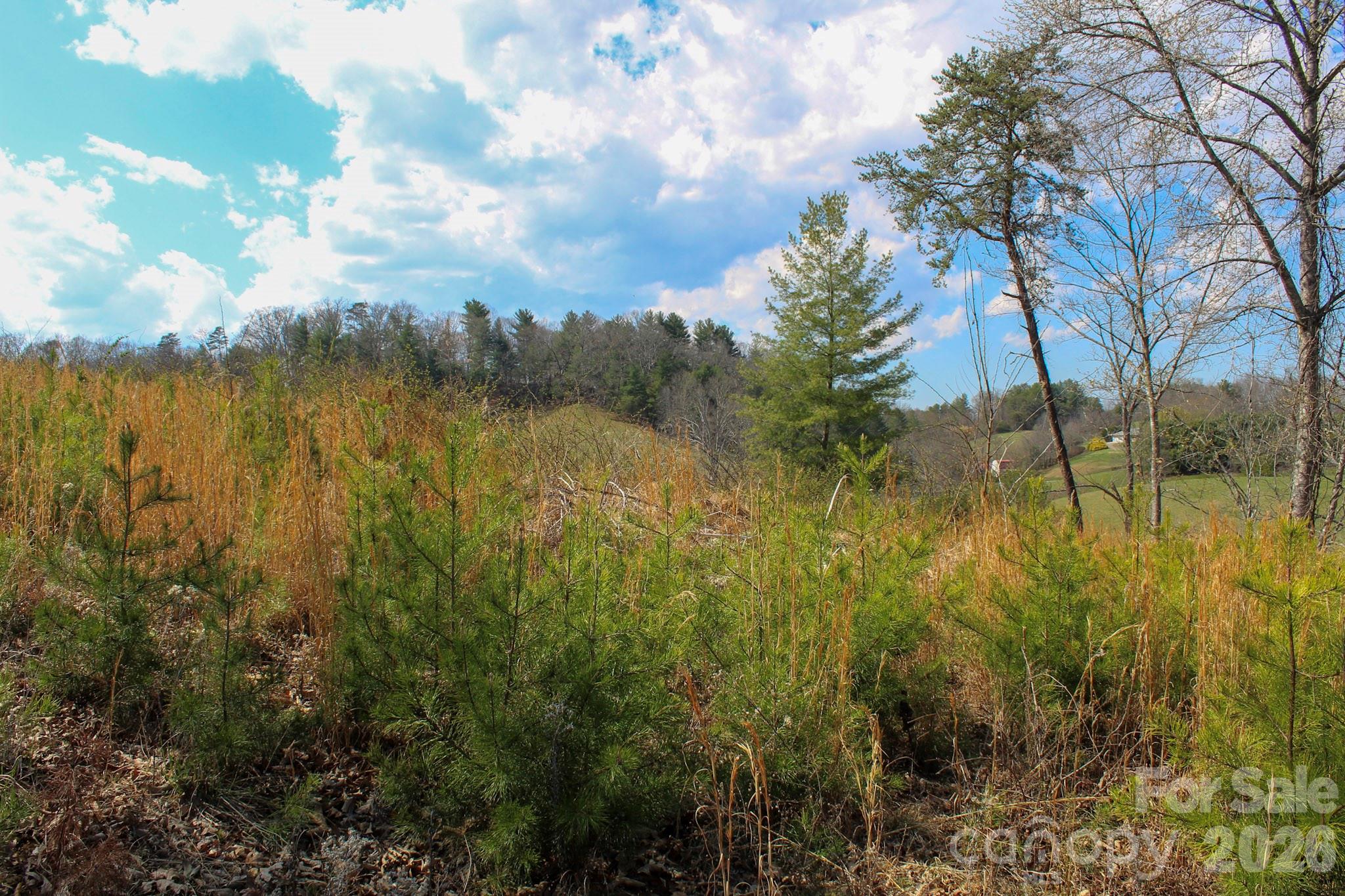 99999 Fletcher Martin Road Alexander, NC 28701 - Photo 21 of 47