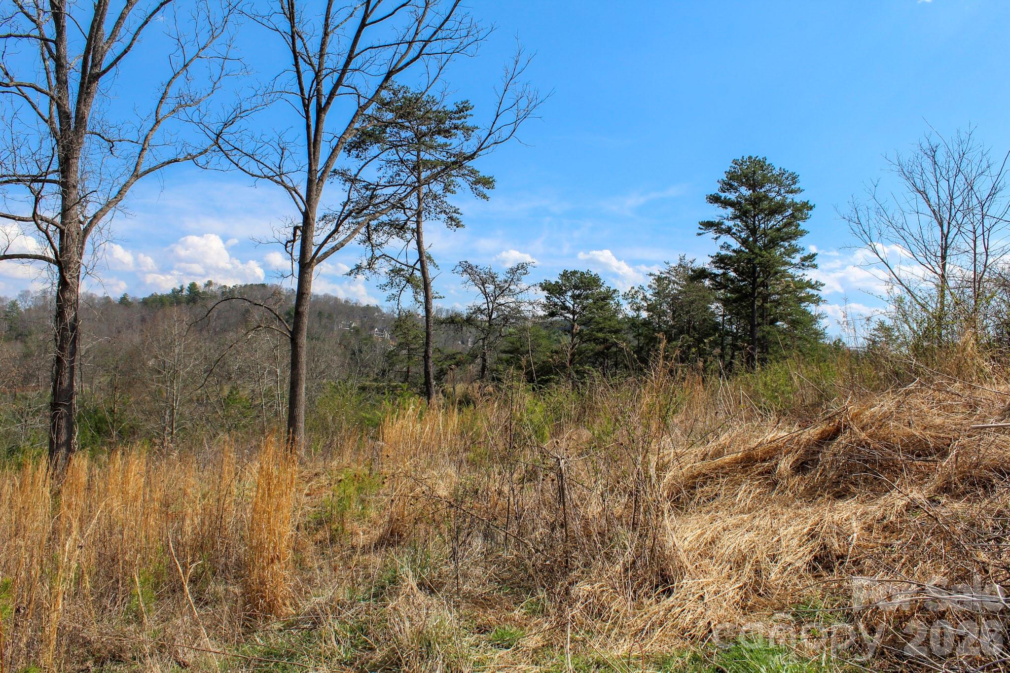 99999 Fletcher Martin Road Alexander, NC 28701 - Photo 23 of 47