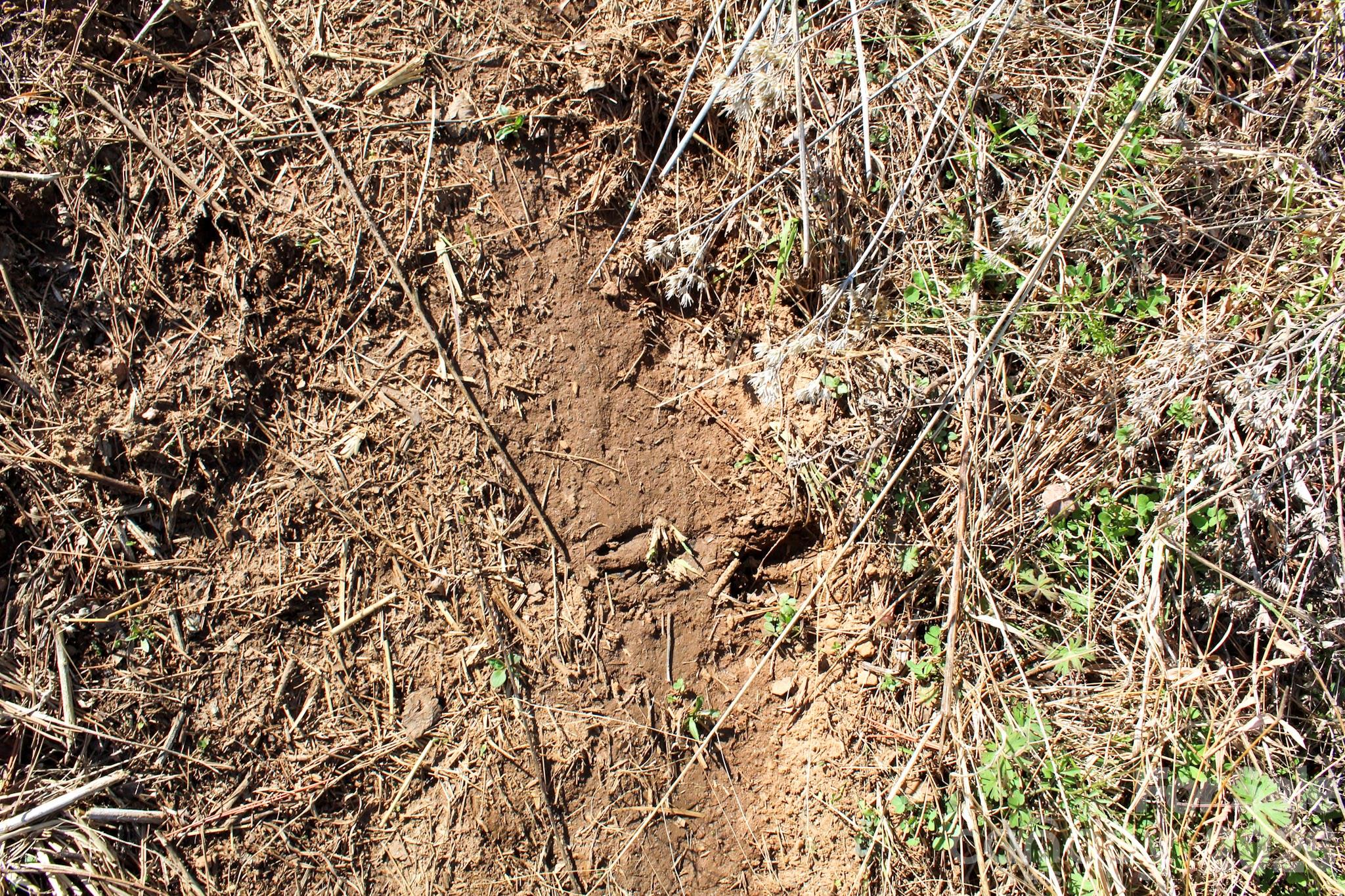 99999 Fletcher Martin Road Alexander, NC 28701 - Photo 24 of 47