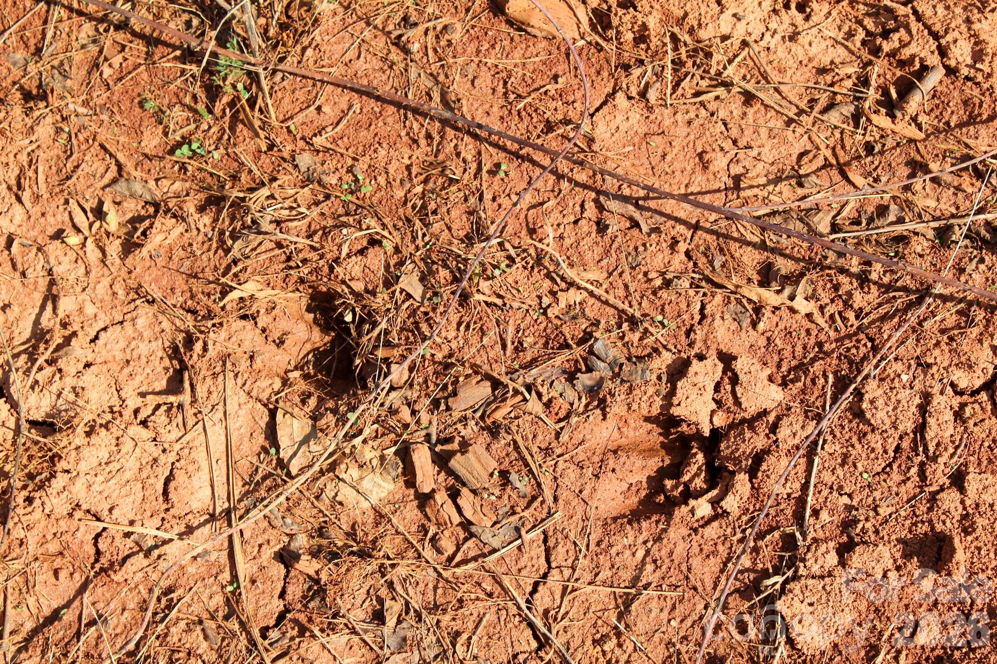 99999 Fletcher Martin Road Alexander, NC 28701 - Photo 25 of 47