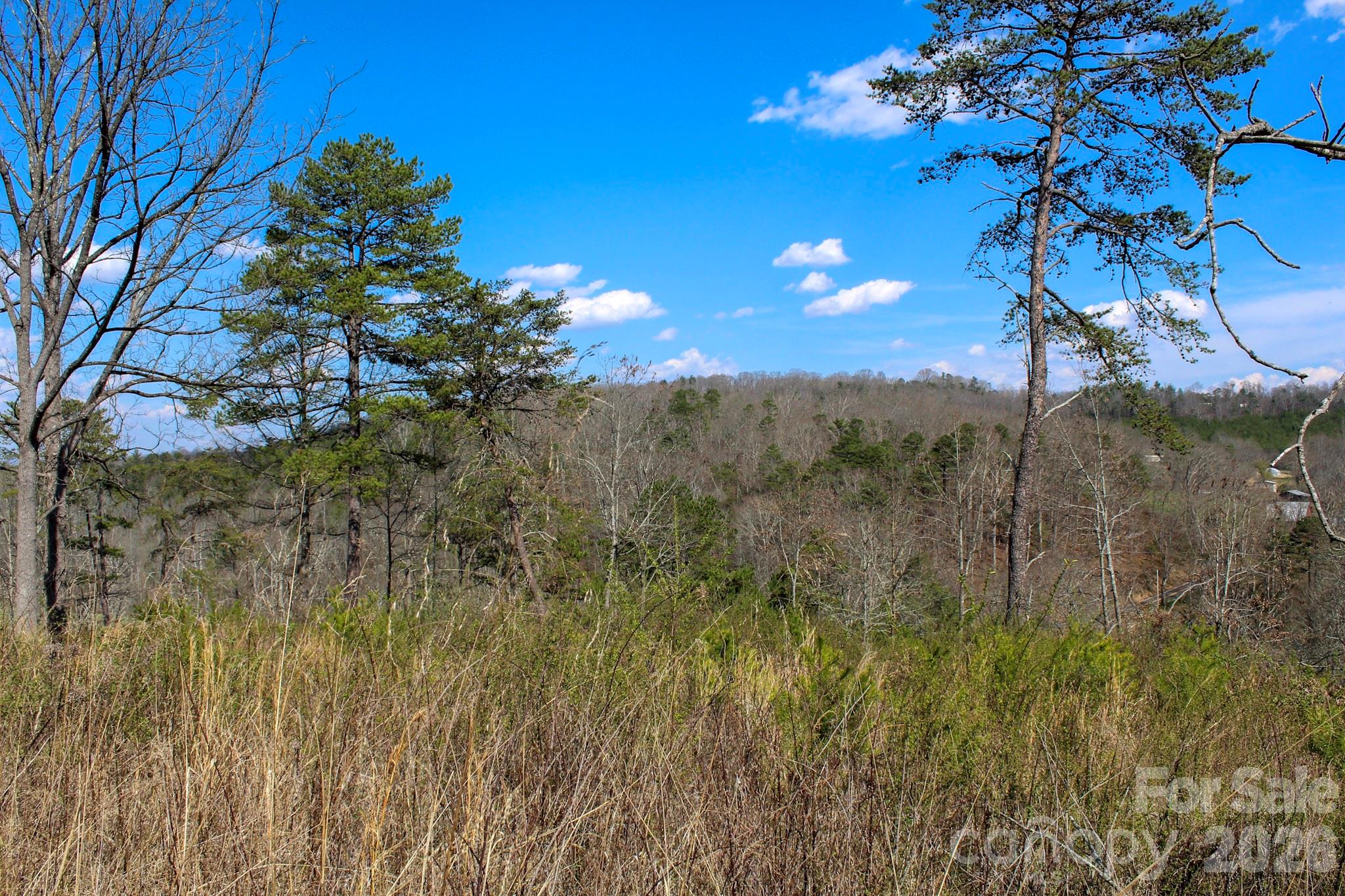 99999 Fletcher Martin Road Alexander, NC 28701 - Photo 26 of 47