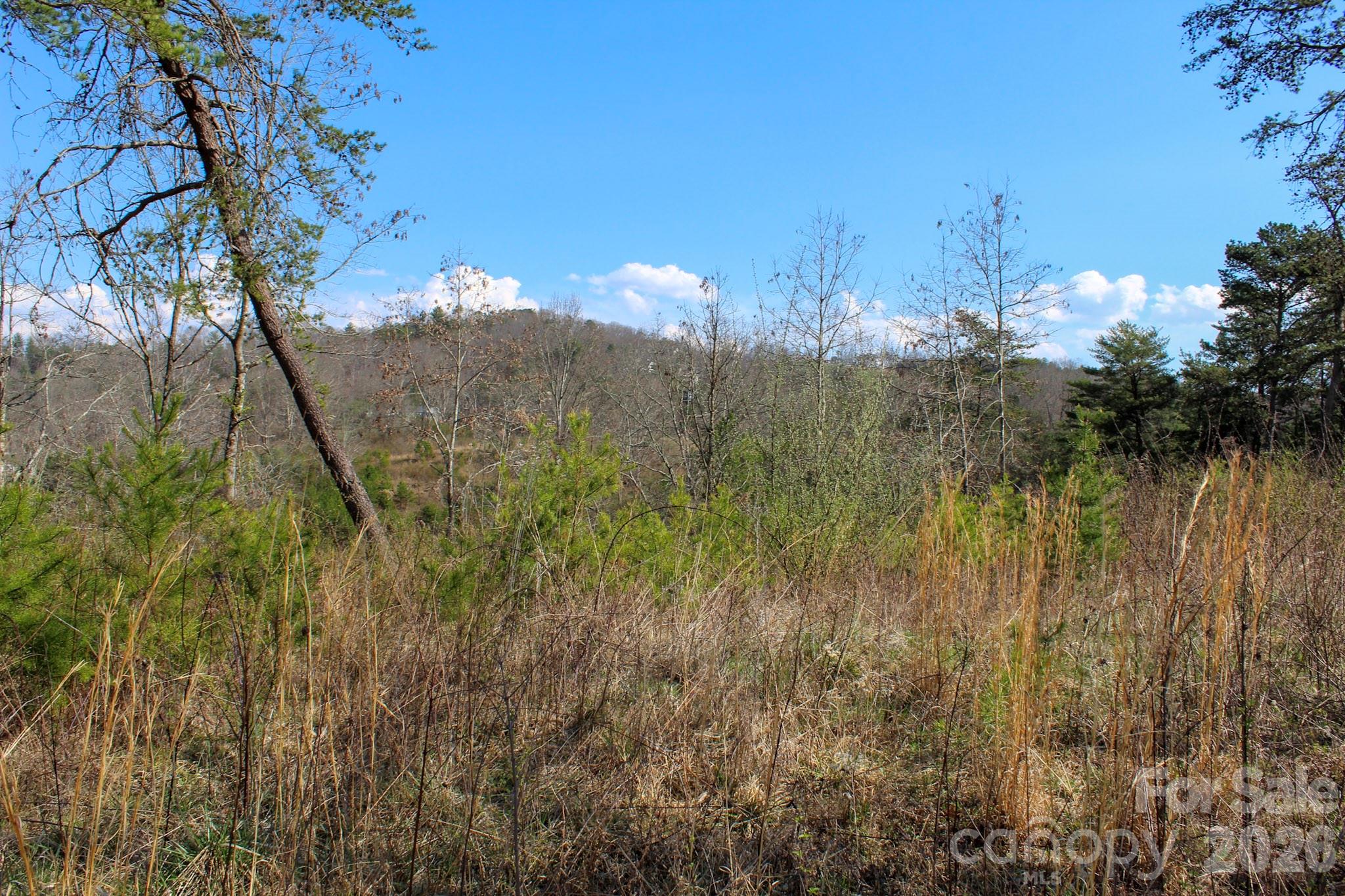 99999 Fletcher Martin Road Alexander, NC 28701 - Photo 28 of 47