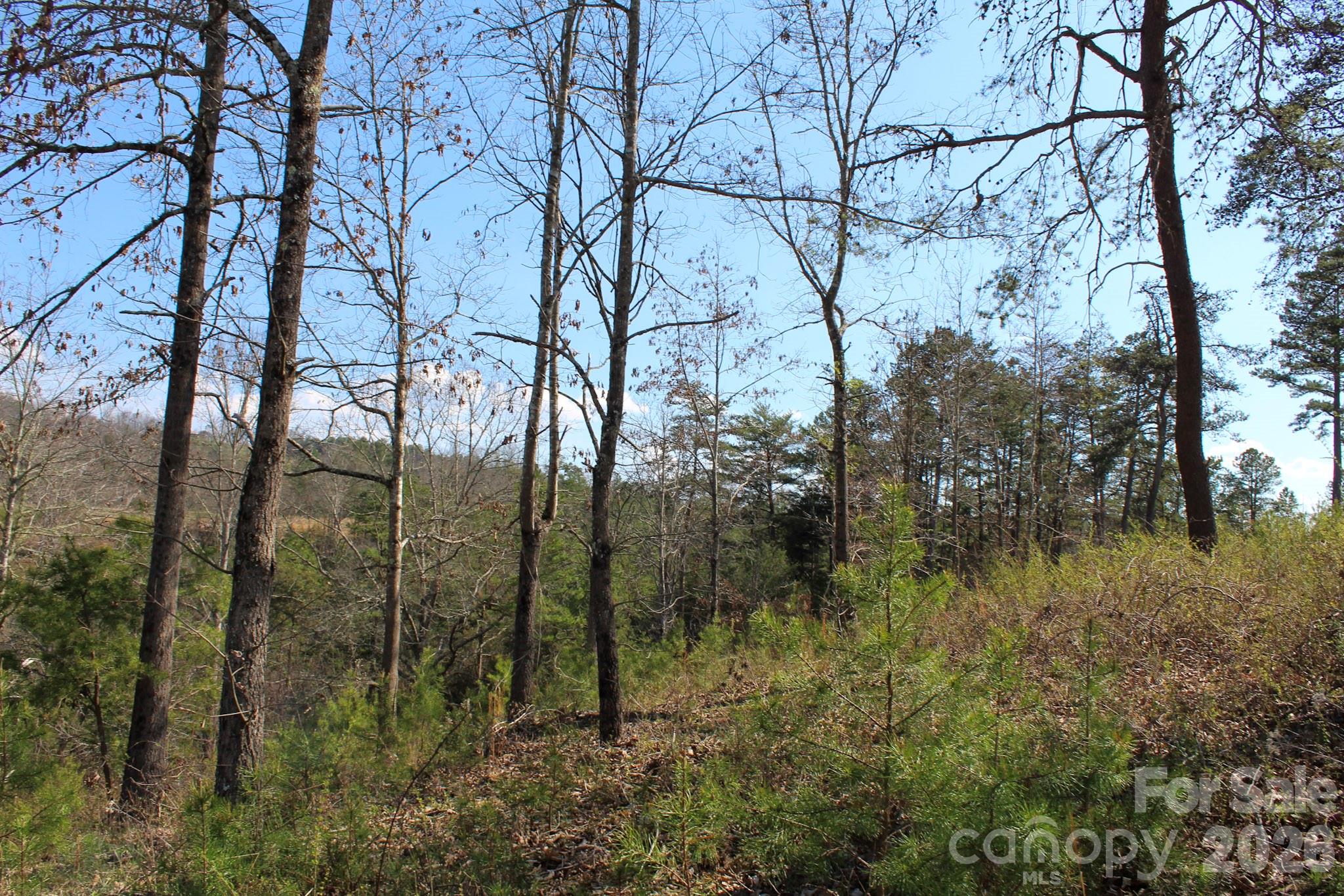 99999 Fletcher Martin Road Alexander, NC 28701 - Photo 29 of 47