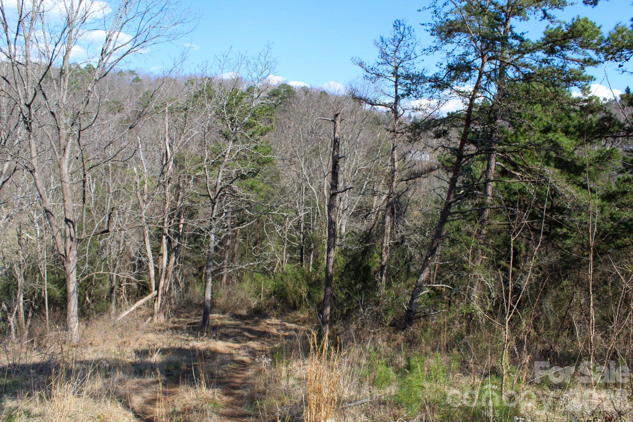 99999 Fletcher Martin Road Alexander, NC 28701 - Photo 30 of 47