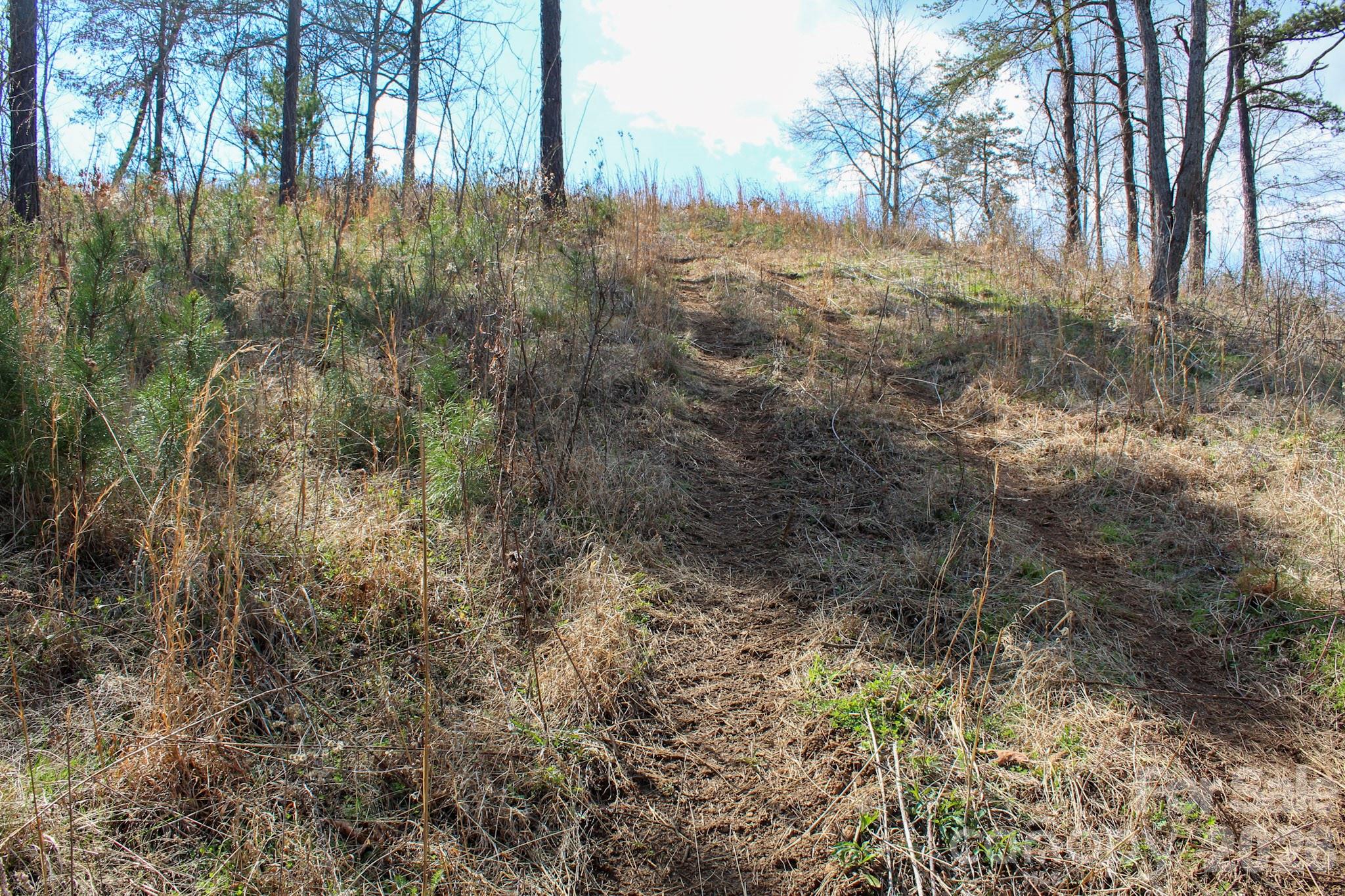 99999 Fletcher Martin Road Alexander, NC 28701 - Photo 31 of 47