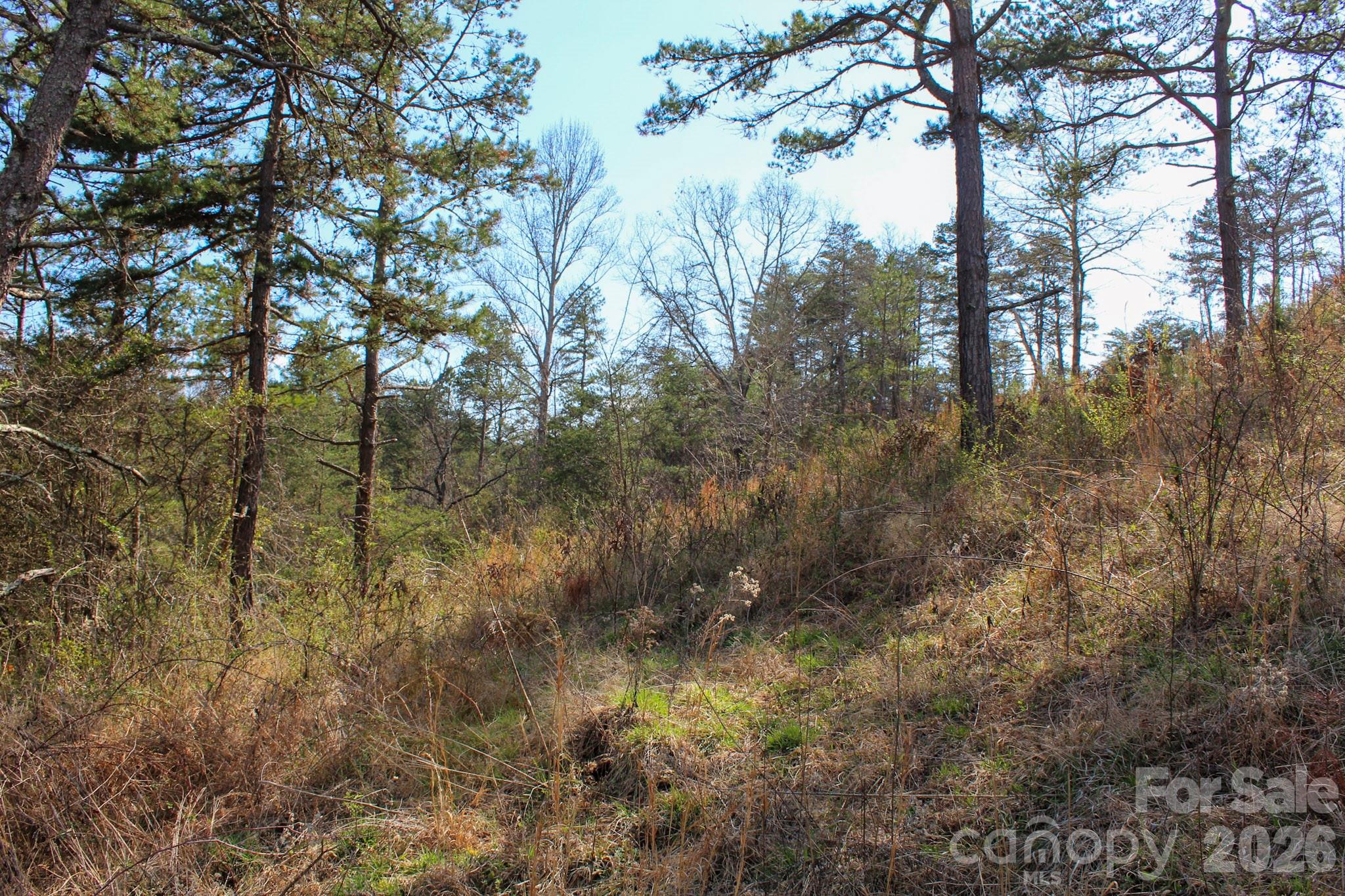 99999 Fletcher Martin Road Alexander, NC 28701 - Photo 32 of 47