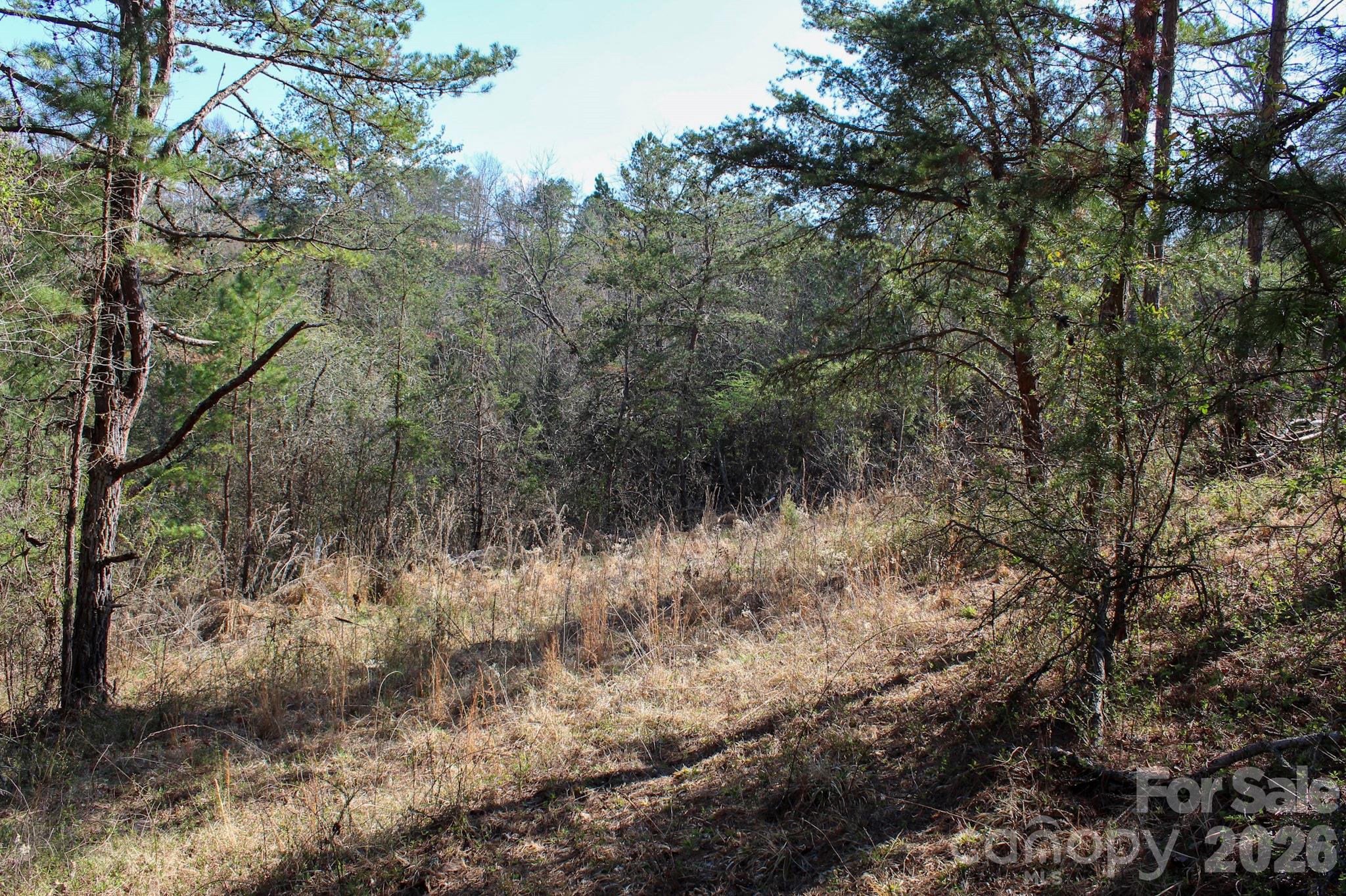 99999 Fletcher Martin Road Alexander, NC 28701 - Photo 33 of 47